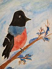 Eisvogel von Pauline M. Pauline M.